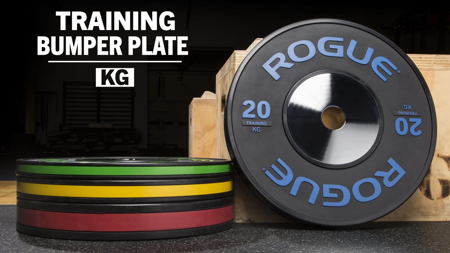 Rogue training plates sales